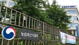 1인가구 반려동물 양육비 월 15만원… 18%는 양육 포기 고려