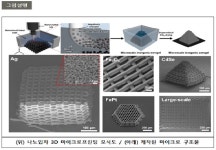 POSTECH·KIST 공동 연구팀, 무기 소재 활용…3D 마이크로프린팅 기술 개발