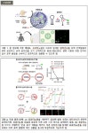 POSTECH “캡슐 보호막, 센서도 살리고 사람도 살린다”