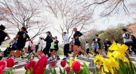 대전 동구, 13일 ‘대청호 벚꽃길 마라톤대회’ 개최