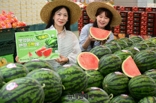 [포토] 농협 하나로마트, 겨우내 자란 봄 수박 첫 판매