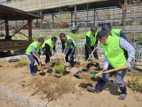 경기농협, 양평 한우농장 환경개선 위한 방취림 조성