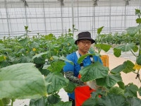 전북자치도, 외국인 숙련 인력 모집 위해 시·군 순회 설명회