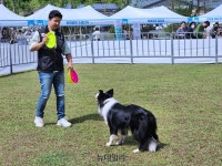 “반려견과 특별한 시간 보냈어요”…‘대전반려견 건강한마당’ 인기