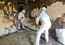 대전 둔산소방서 의용소방대원, 화재 가구 복구 지원