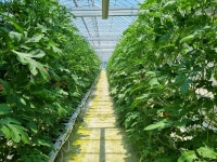 진천군, 과학영농으로 ‘도농복합 도시’ 앞당긴다