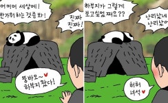 [윤서인의 뉴데툰] 관심법