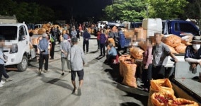 부여 고추시장, 내달 10일까지 개장