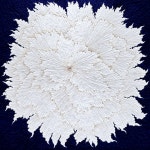 갤러리 대겸, 김순철 작가 초대전 About wish 개최