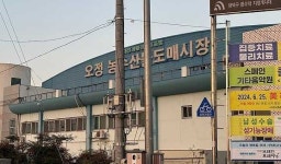 대전시, 노은·오정 농수산물도매시장 설 연휴 휴장