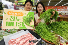 [포토] 농협 하나로마트 입맛 돋우는 청도 미나리 맛보세요
