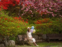 봄의 설렘과 꽃들의 향연! 전통과 자연이 어우러진 전북특별자치도