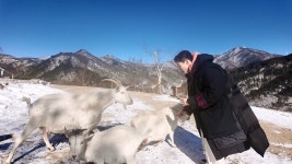 태백원정대, 고산지대의 비밀을 캐다 … 산양 목장부터 300년 전통 너와집까지