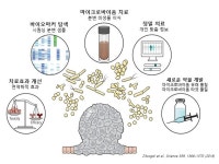 충북테크노파크, 마이크로바이옴 기반 ‘생균 치료제 개발’ 본격화