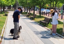 성남시, 반려동물 행동 교정 상담 접수