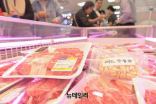 [포토] 농협 하나로마트 의성마늘 먹고 자란 의성 마늘소 판촉 행사