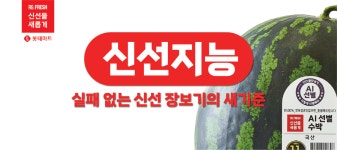 9990원 반값 수박 맛보세요 롯데마트, 꿀맛 수박 페스티벌 개최