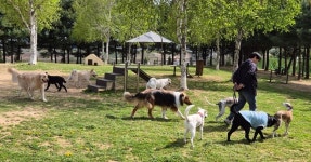 청주시, 문암생태공원 반려견 놀이터 ‘하절기 연장’ 운영
