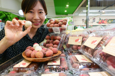 [포토] 농협유통 하나로마트 제주서 생산한 아열대 과일 리치 맛보세요