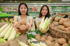 [포토] 농협유통 하나로마트 제철 맞은 영양간식 감자·찰옥수수 저렴하게 구매하세요