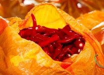 괴산군, ‘청결고추’ 직거래시장 3일부터 운영…“지역경제 활력” 기대