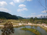 화성시, 다올·왕배산공원 30일 전면 개방