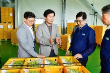 경산 자인농업협동조합 ‘샤인머스캣’ 대만 수출 선적식 성료