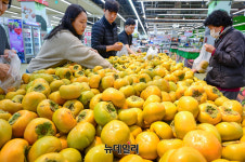 [포토] 농협유통 하나로마트 제철 단감 드시고 건강 챙기세요