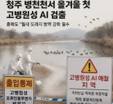 청주 오창읍 병천천서 올겨울 첫 고병원성 AI 검출…전국 7건 중 다섯 번째