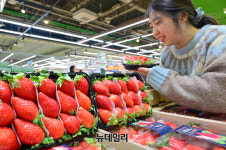 [포토] 농협유통 하나로마트, 논산 킹스베리 올해 첫 판매 시작