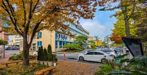 김제선 중구청장, 골목형상점가 확대…점포 689개로 늘어