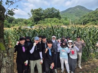 [포토뉴스] 대한적십자사 혈액관리본부, 원주 칠봉마을서 농가 일손돕기 사회공헌활동 실시