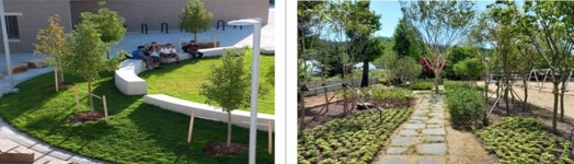 서울교육청, 성서초·오륜초에 학교숲 조성 … 협소한 도심 학교도 가능할까?