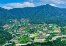 네이버 검색 결과 사진 2