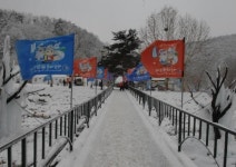 롯데관광, ’2008 겨울 축제’