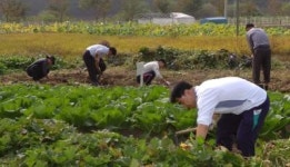 도시민의 쉼터, 어린이의 자연학습장. 분양