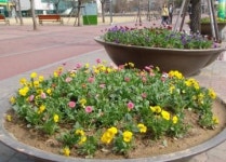 장안구, 주요 가로변 디자인화단 꽃길조성