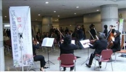 진주시에 흐르는 상큼한 봄의 선율