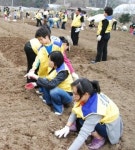 주말농장 자원봉사대 농작물 파종 본격 가동