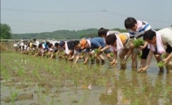 삼성전기, 농촌체험으로 조직력강화