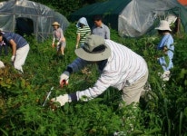 농협의왕시지부 에덴의 집 봉사활동
