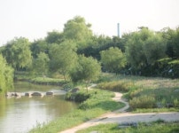 영통구 원천천 테마별 ‘꽃길 조성’