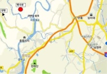 보름 앞당겨진 나무심기, 희망을 심자!