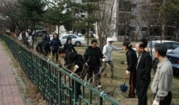 영통구 ‘걷고 싶은 장미거리’ 조성