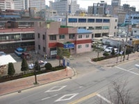 [파주]‘지구대 담장 대신 나무심기’ 눈길