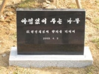 작은새 공원의 ‘아낌없이 주는 나무!’