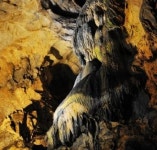 태백, 용연동굴 야생화테마공원 본격 조성