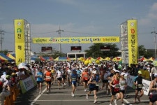 [부산]진해만 생태숲 마음껏 달렸다