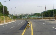 성남시, 판교∼송파 간 탄천변 도로 완전 개통