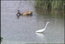 비무장지대 ‘DMZ’를 가다